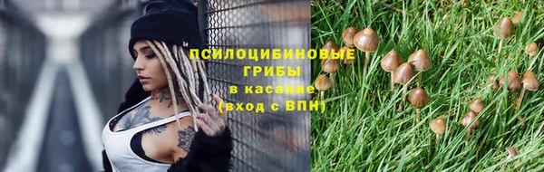 МДПВ Краснотурьинск