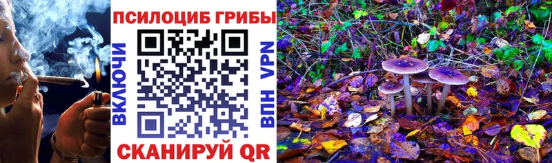 Купить где  Сарапул  Псилоцибиновые грибы Psilocybe 